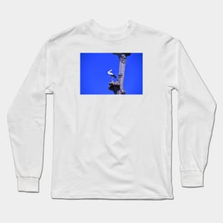 Stork / Swiss Artwork Photography Long Sleeve T-Shirt